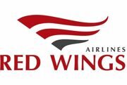 Red Wings logo